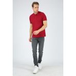 Dafron Classic Polo Yaka Pike Bordo Erkek T-shirt