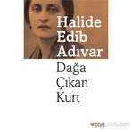 Dağa Çıkan Kurt - Halide Edip Adıvar