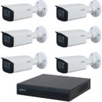 Dahua 6 Kameralı 2 Mp Motorize Ip Güvenlik Kamera Seti - Beyaz