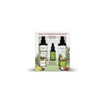 DAİLY DREAM CARE Daily Dream Care Rosemary Miracle Güçlü Mucizevi Saç Bakım Seti Biberiye Bakımı 3'lü Set (Tonik + Se