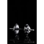 Daily Fitness Journal: Track Workouts, Set Goals, Build Healthy Habits, and Stay Motivated on Your Fitness Journey