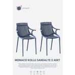 Daim Plastik MONAKO KOLLU LÜX CAFE & RESTAURANT SANDALYESİ 2 Li Set