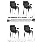 Daim Plastik MONAKO KOLLU LÜX CAFE & RESTAURANT SANDALYESİ 4 Lü Set