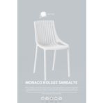 Daim Plastik MONAKO KOLSUZ LÜX CAFE & RESTAURANT SANDALYESİ