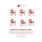 Daim Plastik Paris 6 Adet Kollu Lux Cafe & Restaurant Sandalyesi