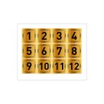 DAİRE KAPI NUMARASI MASA NUMARASI DOLAP NUMARASI GOLD GÜMÜŞ METAL 1 DEN 12YE KADAR hbspmoduyari113
