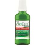 Daisy Home Aloe Dent Alkolsüz ve Florürsüz Ağız Kokusu Önleyici Doğal Ağız Bakım Suyu - 250 ml - 1 Adet