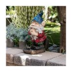 Daisy Home Corporation 15" Uzun Açık Bahçe Gnome Gülen Yard Heykeli Dekorasyon, Çok Renkli - 0 - Siyah - Option-1