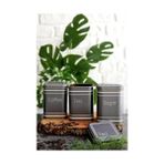 Daisy Home Evle-Metal Çay, Kahve, Şeker Saklama Kutusu 3 Lü Set 8.7 x 8.7 x 12.5 Cm, Silver (Silver) - 0 Siyah - Option-1
