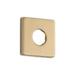 Daisy Home RP51034CZ - Duş, Şampanya Bronz, 3.000 "u x 2.500" G x 1.900"Y - 1 lt