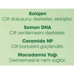 Daisy Home & Somon Dna Sabunu 120G – Nemlendirici Cilt Bakım Sabunu, Ceramide Np ve Macadamia Yağı Içerikli – Tüm Cilt Tipleri Için Uygun - Option-1