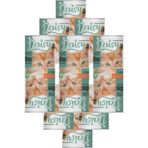 Daisy Premium 12x400 gr Yavru Kedi Konserve Maması + 3'lü Ödül Sticks