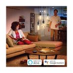 Daisy Store Hue E27 Filament A60 550 Lm, Sıcak Beyaz Işık, Kısılabilir, Uygulama Üzerinden Kontrol Edilebilir, Amazon Alexa (Echo, Echo Dot) ile Uyumlu - 1 - 10 W - Amber
