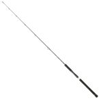 Daiwa Legalis Oceano JG 173 cm 100-300 gr Jig Kamış