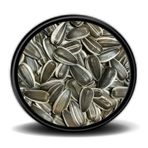Dakota Çekirdek 500 G Papağan Yemi