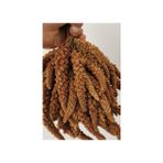 Dal Darı-Doğal Kızıl Daldarı Kuş Yemi 150 gr