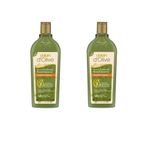 Dalan 2x400 ml Doğal Zeytinyağlı Onarıcı Bakım Besleyici Şampuan