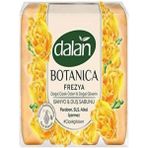 Dalan Botanıca Banyo Sabunu 600 gr Frezya