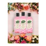 Dalan Botanica Şakayık 3x500 ml Duş Jeli