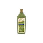 Dalan D Olive Kepek Karşıtı Doğal Zeytinyağlı Besleyici Şampuan 400 Ml