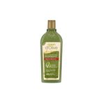 Dalan D Olive Renk Koruyucu Doğal Zeytinyağlı Besleyici Şampuan 400 Ml