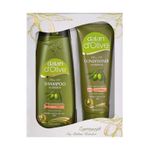 Dalan D'olive 400 ml Zeytinyağlı Şampuan+200 ml Saç Kremi