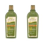 Dalan D'Olive Zeytinyağlı 2x400 ml Şampuan