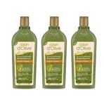Dalan D'Olive Zeytinyağlı Onarıcı Bakım 3x400 ml Şampuan
