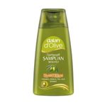 Dalan D'Olive Zeytinyağlı Onarıcı Bakım 50 ml Şampuan