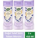 Dalan Duş Jeli Oatcare Yulaf Sütü Ve Yaban Mersini 450 Ml X 3 Adet