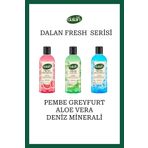 Dalan Fresh Serisi Duş Jeli 500ML X 3 (Pembe Greyfurt-Aloe Vera-Deniz Minerali)