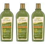 Dalan Onarıcı 3x400 ml Bakım Şampuanı