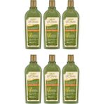 Dalan Onarıcı 6x400 ml Bakım Şampuanı