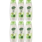 Dalan Şampuan Zeytinyağlı Bakım 450 ml x 6 Adet