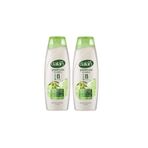 Dalan Zeytinyağlı Onarıcı Bakım 2x450 ml Şampuan