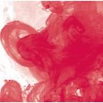 Daler Rowney Fw Acrylic Artist Ink 29.5 ml Cam Şişe Crimson 513 Akrilik Boya