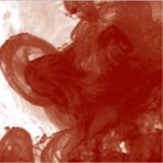 Daler Rowney Fw Acrylic Artist Ink 29.5 ml Cam Şişe Red Earth 554 Mürekkep