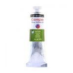 Daler Rowney Georgian Gwamo Sulandirilabilir Sap Green 37 ml Yağlı Boya