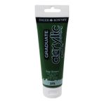 Daler Rowney Graduate 375 Sap Green 120 ML Akrilik Boya
