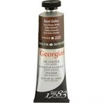 Daler Rowney N:223 Burnt Umber 38 ml Georgian Yağlı Boya
