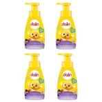 Dalin Orman Meyvesi Kokulu 4x200 ml Köpük Sabun