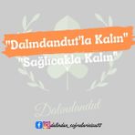 Dalındandut Yeni Mahsul Karışık Kuruyemiş Lüx 250 gr