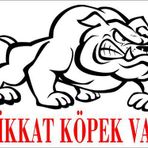 Dalis Bulldog Dikkat Köpek Var Uyarı Levhası