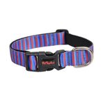 Dalis Çizgili L Boy 40-65 cm Köpek Boyun Tasması