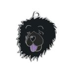 Dalis Pet Tag Çin Aslanı Köpek Künyesi