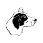 Dalis Pet Tag Poınter Siyah-Beyaz Köpek Künyesi