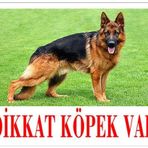 Dalis Renkli Alman Kurdu Dikkat Köpek Var Uyari Levhasi
