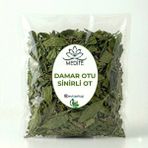 Damar Otu Sinirli Ot Dökme (Plantagolanceolata) 100 gr