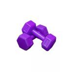 Dambılcım MOR 2 KG x 2 Adet Toplam 4 KG Dambıl Seti 4 KG Dumbell Set