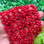 Damla Doğal Mercan Taşı 5 Mm